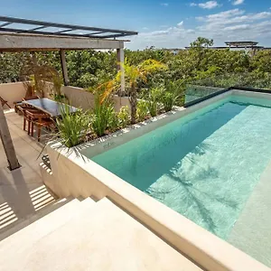 tuane-luxury-homes.quintano-roohotels.com/